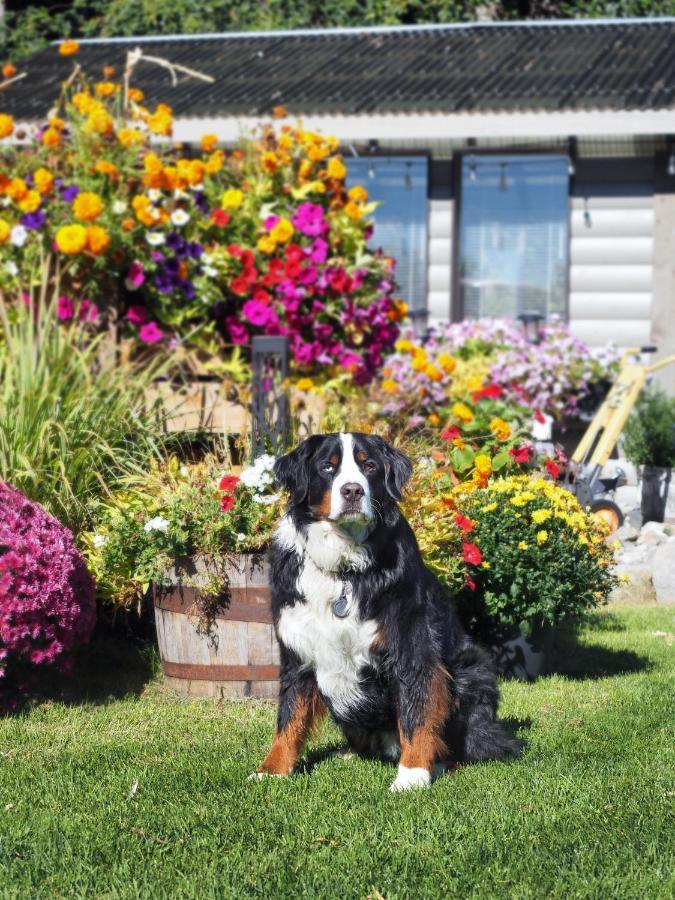 Rayleigh Riverfront Retreat- Peaceful Garden Oasis-25 Minutes To Ski Hill Kamloops Ngoại thất bức ảnh