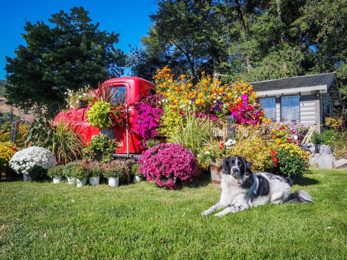 Rayleigh Riverfront Retreat- Peaceful Garden Oasis-25 Minutes To Ski Hill Kamloops Ngoại thất bức ảnh